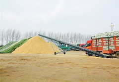 1月28日东北三省水稻收购价格