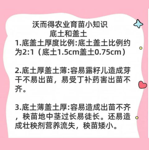 水稻苗床底土和盖土你用对了吗？