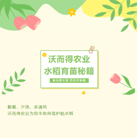 水稻大棚各个时期温度管理你知道吗？